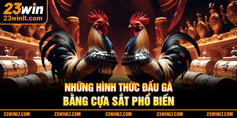 Những hình thức đấu gà cựa sắt phổ biến