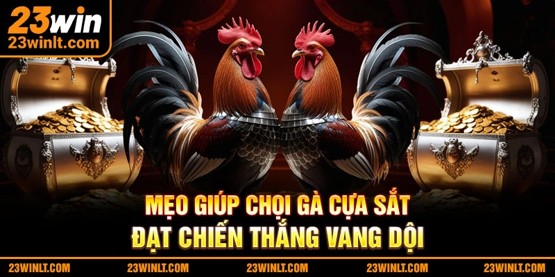 Những cách hữu ích giúp thành công khi chơi đá gà cựa sắt