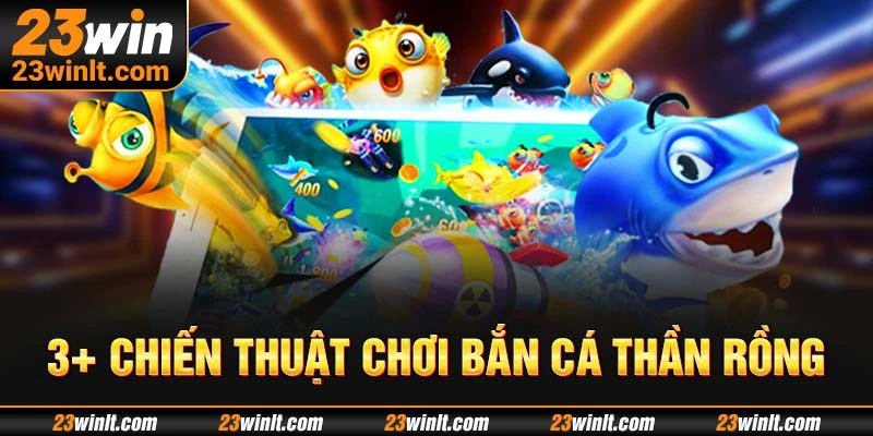 Áp dụng các chiến thuật từ chuyên gia để săn cá thành công