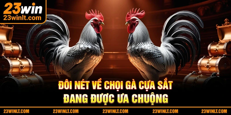 Đôi nét về đá gà cựa sắt đang được ưa chuộng
