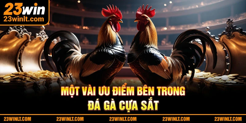 Một vài ưu điểm bên trong đá gà cựa sắt
